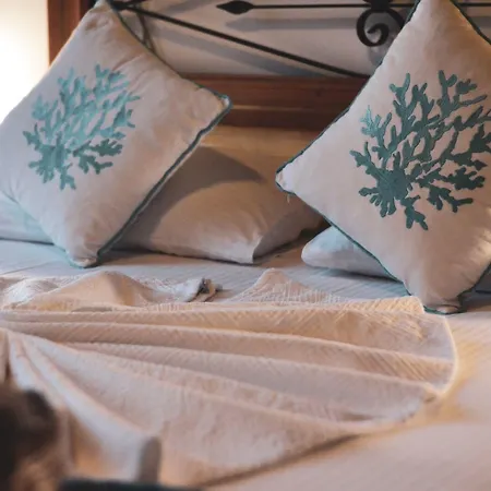 Aliye Hanim מלון 2*