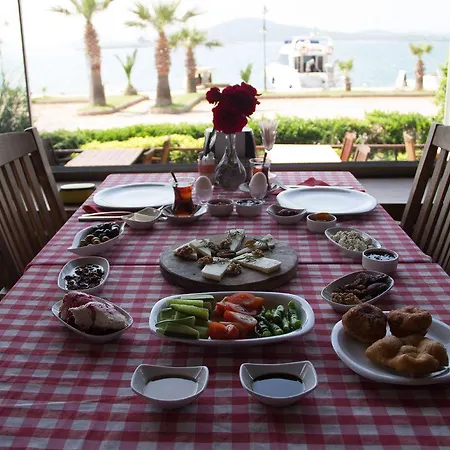 Aliye Hanim Otel Ayvalı