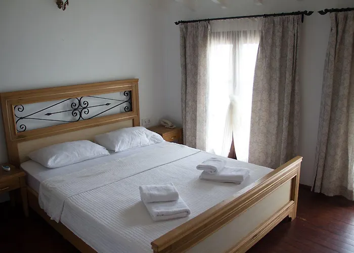 ホテル Aliye Hanim