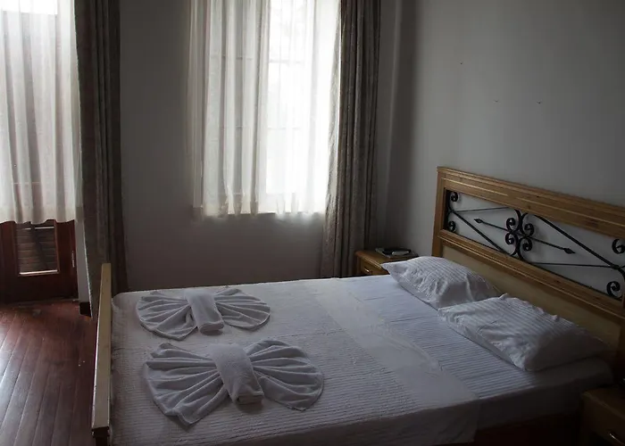 ホテル Aliye Hanim