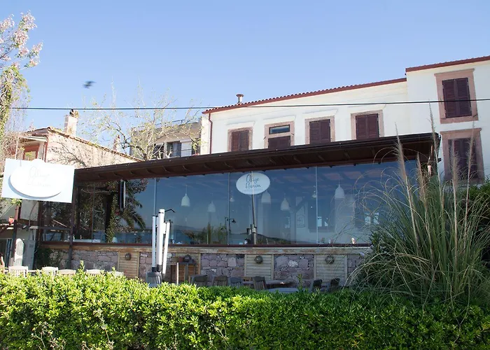 ホテル Aliye Hanim