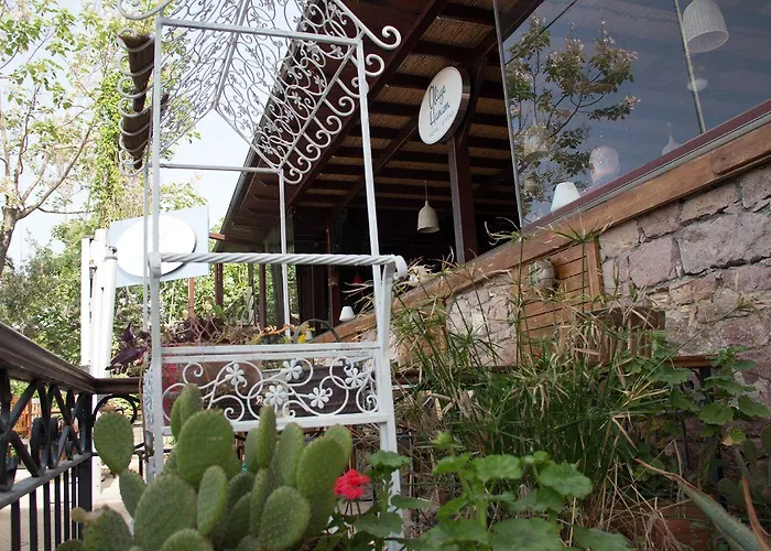 ホテル Aliye Hanim