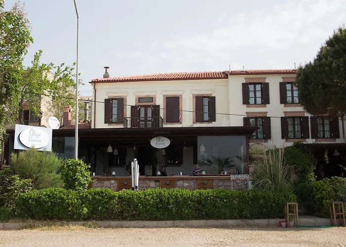 Aliye Hanim ホテル Ayvalı