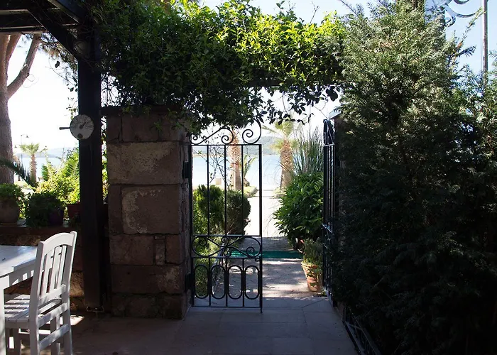 Aliye Hanim 2* Ayvalı