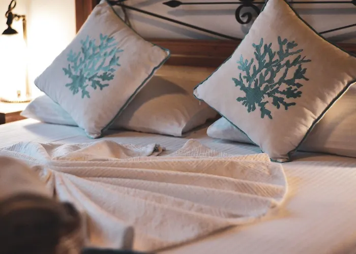 Aliye Hanim ホテル 2*