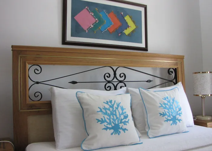 ホテル Aliye Hanim